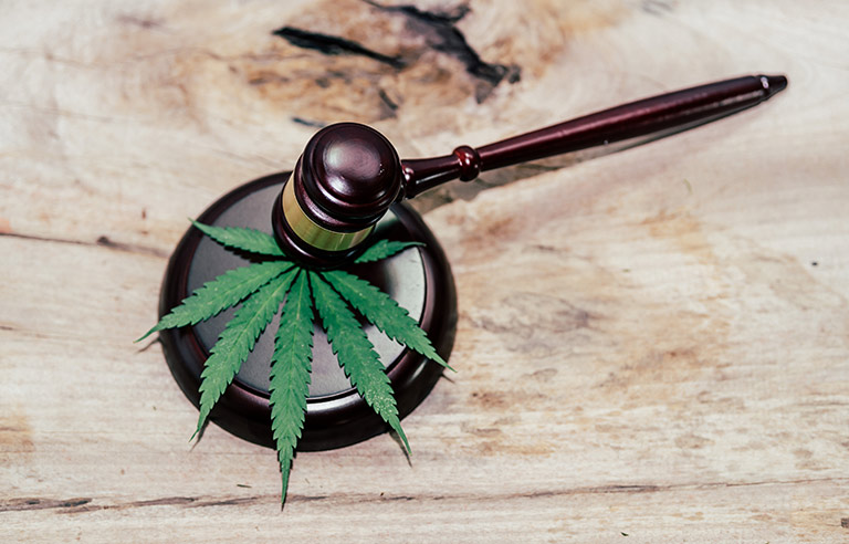 Cannabis im Betäubungsmittelrecht